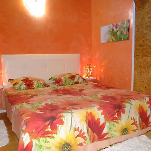 Orange Flower Daire